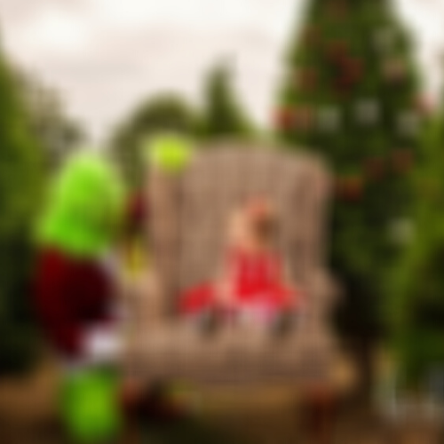 Merry Grinchmas Pictures!